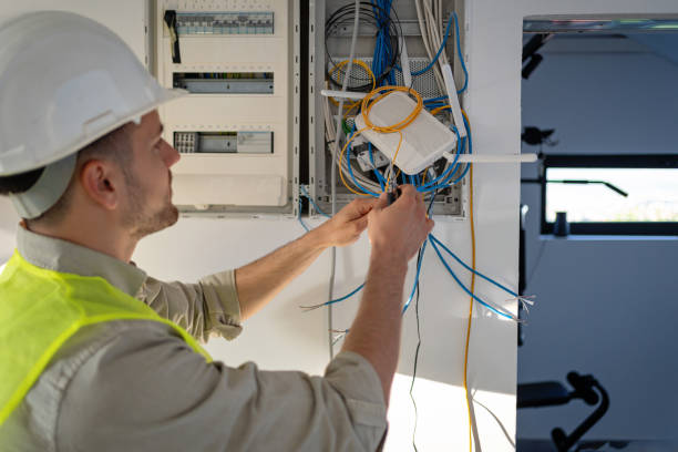 Best Electric Panel Repair  in Prairie Du Sac, WI
